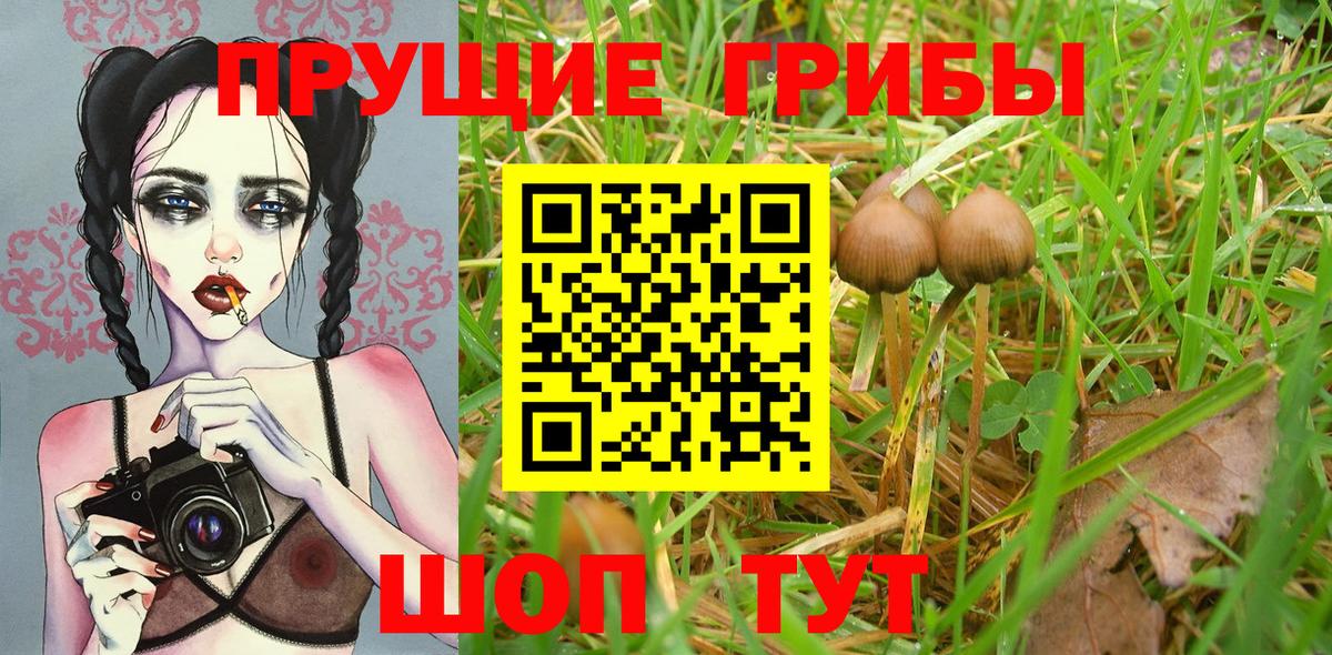 Верхний Уфалей  Галлюциногенные грибы мухоморы  Вход с VPN 