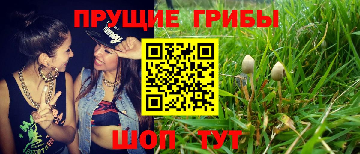 Галлюциногенные грибы Psilocybe Верхний Уфалей